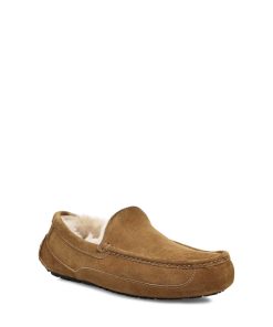 Mænd UGG | Ascot kastanje